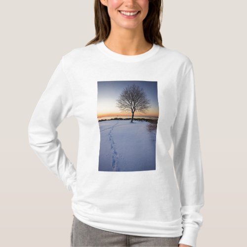 Lone tree in fresh snow at New Castle Common T_Shirt