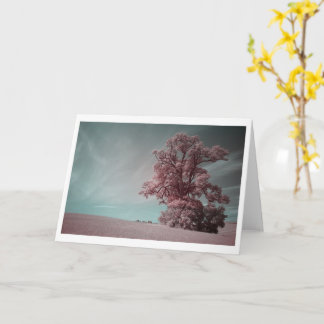 Lone Tree In Infrared Photography (2621) Card