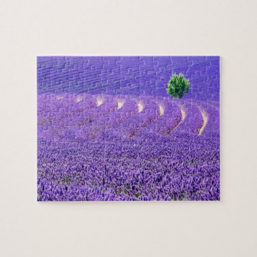 Lone tree in Lavender Field France Jigsaw Puzzle