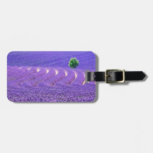 Lone tree in Lavender Field France Luggage Tag