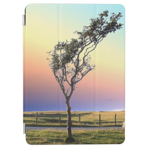 LONE TREE   iPad AIR COVER