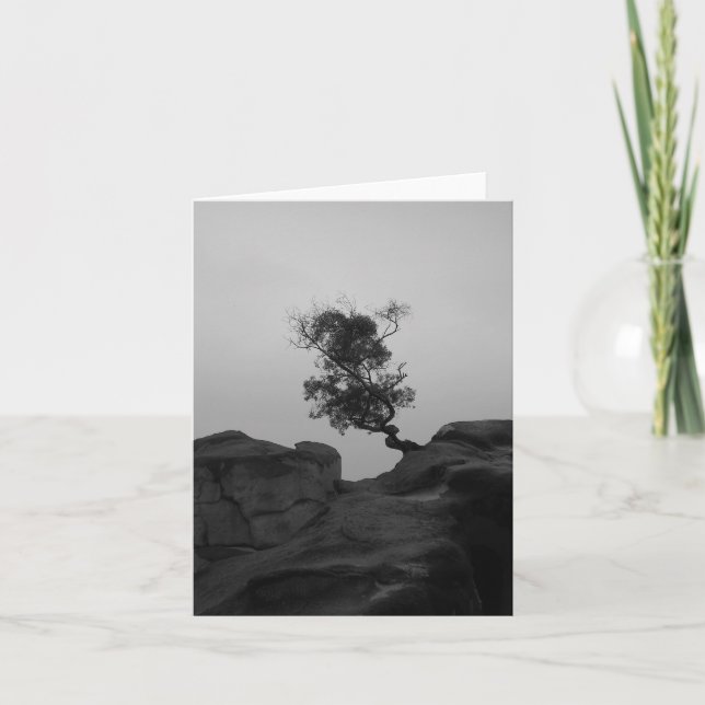 Lone Tree Note Card (Front)