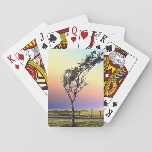 LONE TREE   POKER CARDS