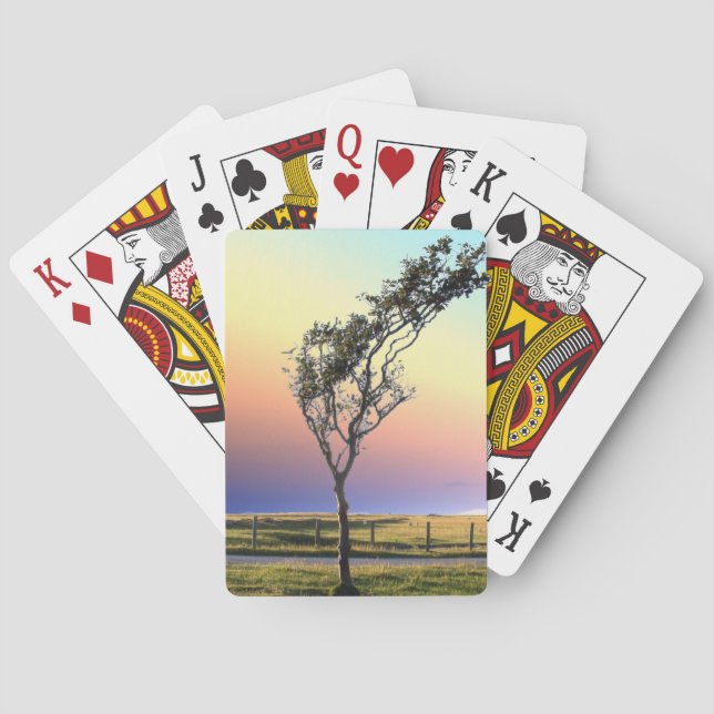 LONE TREE   POKER CARDS (Back)