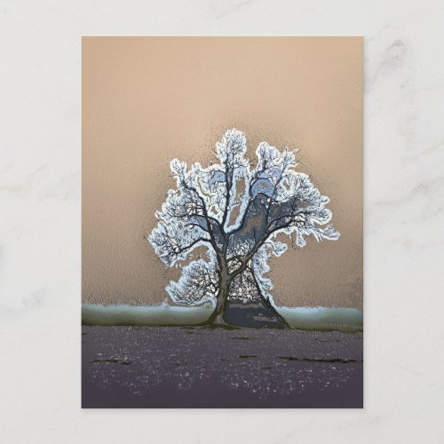 LONE TREE POSTCARD