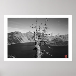 Lone Tree Poster
