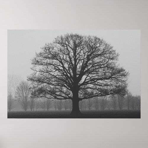 Lone Tree Poster