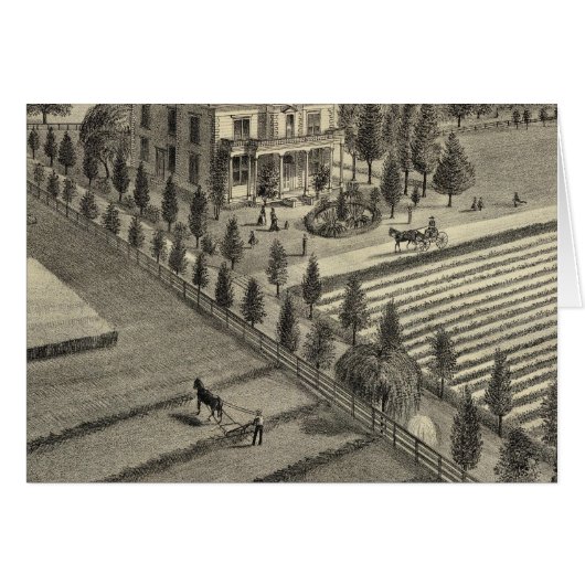Lone Tree Ranch Cards (Front Horizontal)