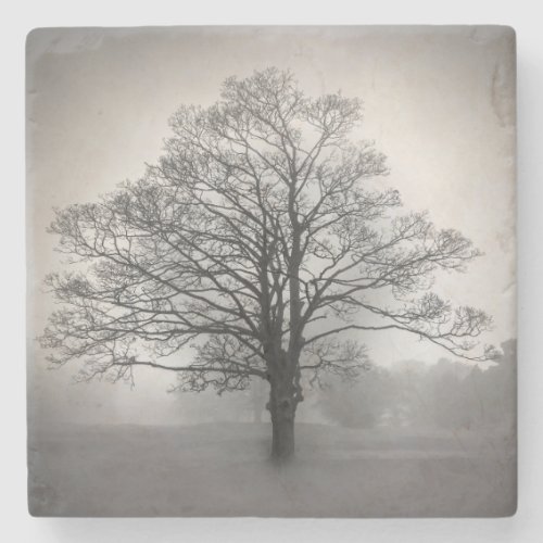 Lone Tree Stone Coaster