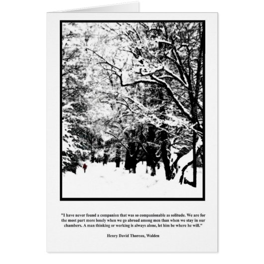 Lone Walk in Snow Cards (Front)