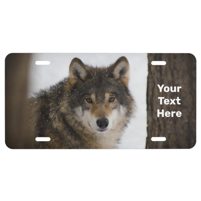 Lone Wolf License Plate (Front)