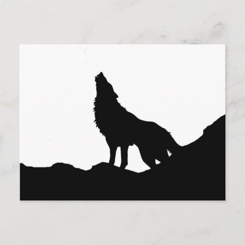 Lone Wolf Standing on a Hill Postcard