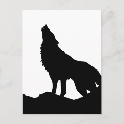 Lone Wolf Standing on a Hill Postcard