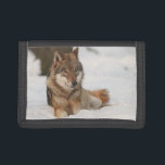 Lone Wolf Tri-fold Wallet<br><div class="desc">Perfect to hold your student ID and lunch money!</div>