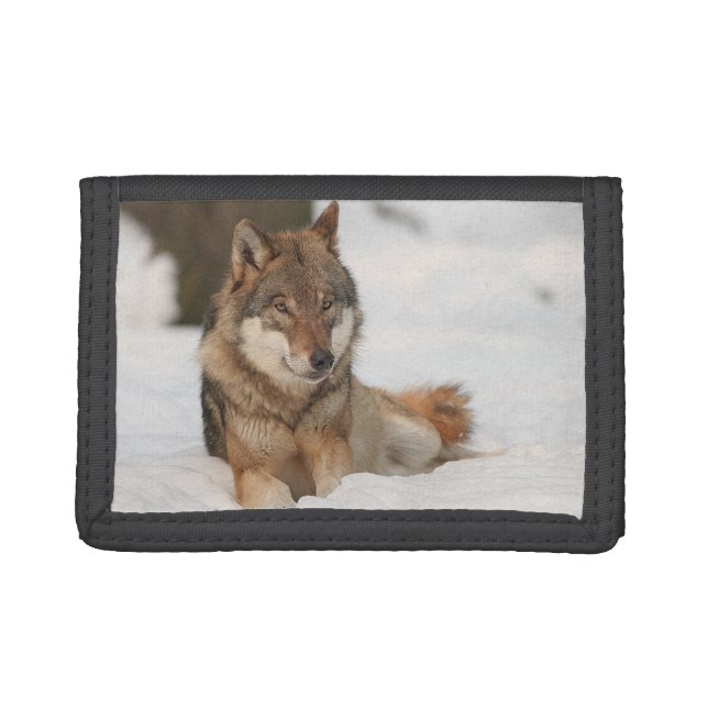 Lone Wolf Tri-fold Wallet (Front)