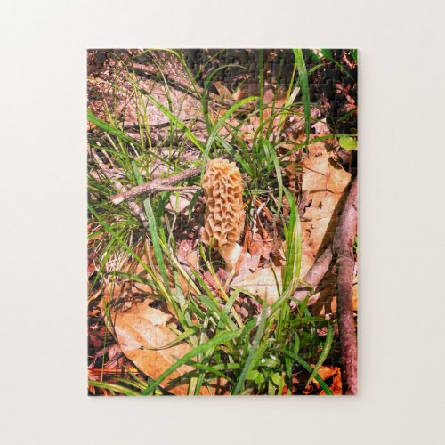 Lone Yellow Morel Jigsaw Puzzle