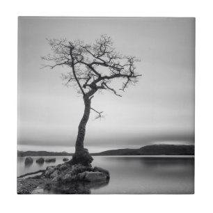 Lonely Bare Tree Ceramic Tile