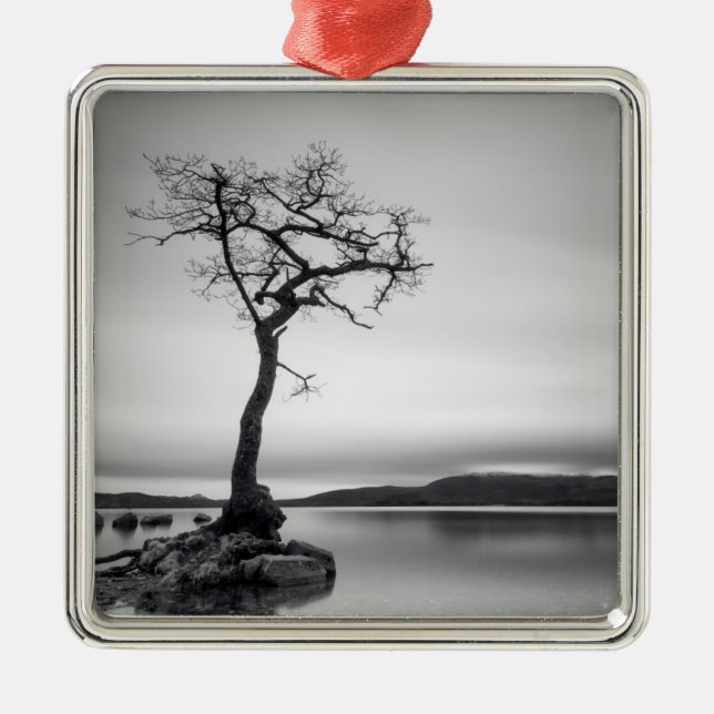 Lonely Bare Tree Metal Ornament (Front)