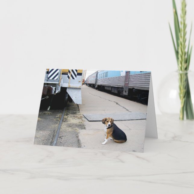 Lonely Beagle Waiting For A Train - Greeting Card (Front)