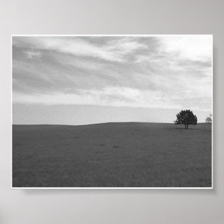 Lonely Black and White Prarie Scene Poster