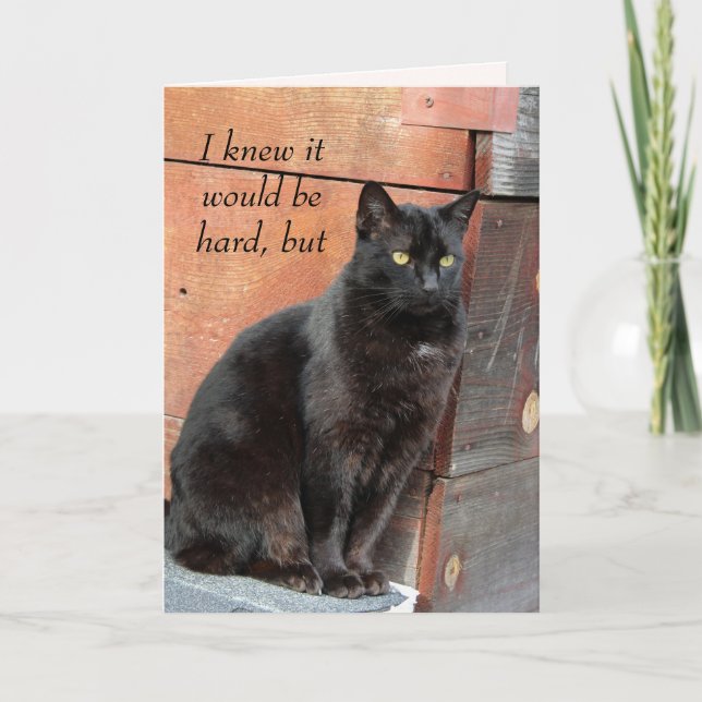 Lonely Black Cat Miss You Card (Front)