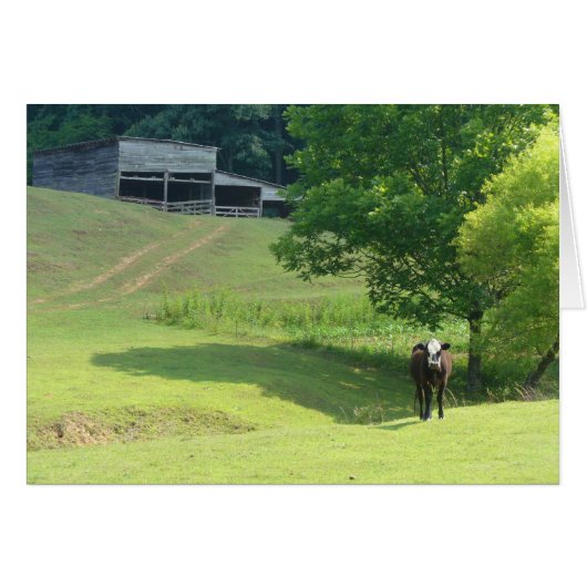 Lonely Calf Cards (Front Horizontal)