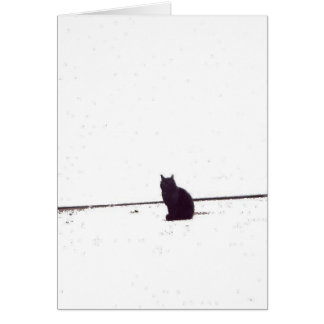 Lonely Cat Cards