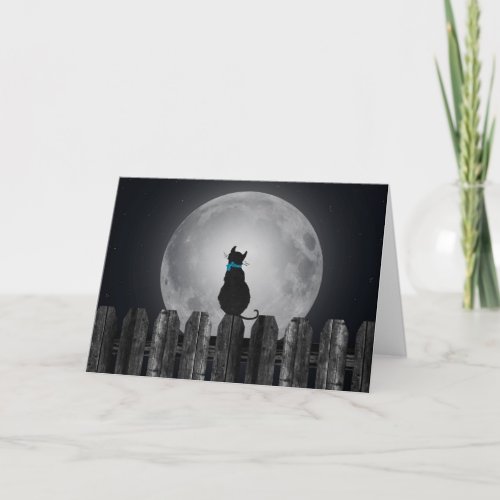 Lonely cat on fence card