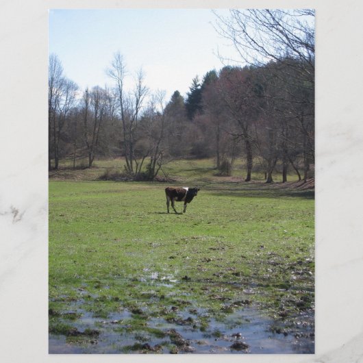 Lonely Cow (Front)