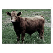 Lonely Cow (Front Horizontal)