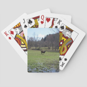 Lonely Cow Poker Cards