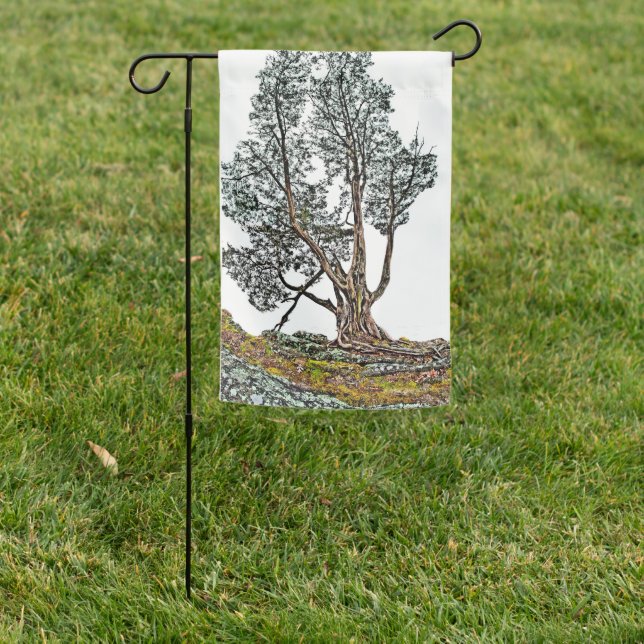 Lonely Cypress  Garden Flag (In SItu)