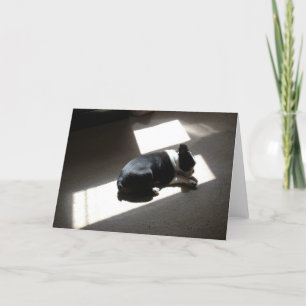Lonely Days Card