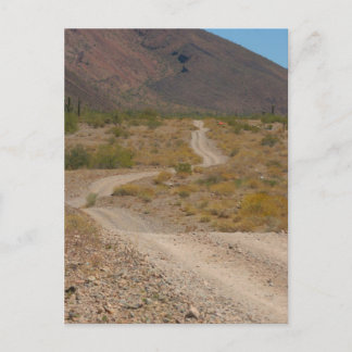 Lonely Desert Road 01 Postcard