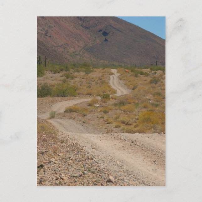 Lonely Desert Road 01 Postcard (Front)