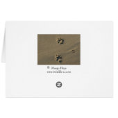Lonely Dog Cards (Back Horizontal)