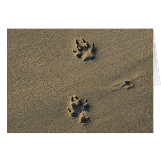 Lonely Dog Cards (Front Horizontal)