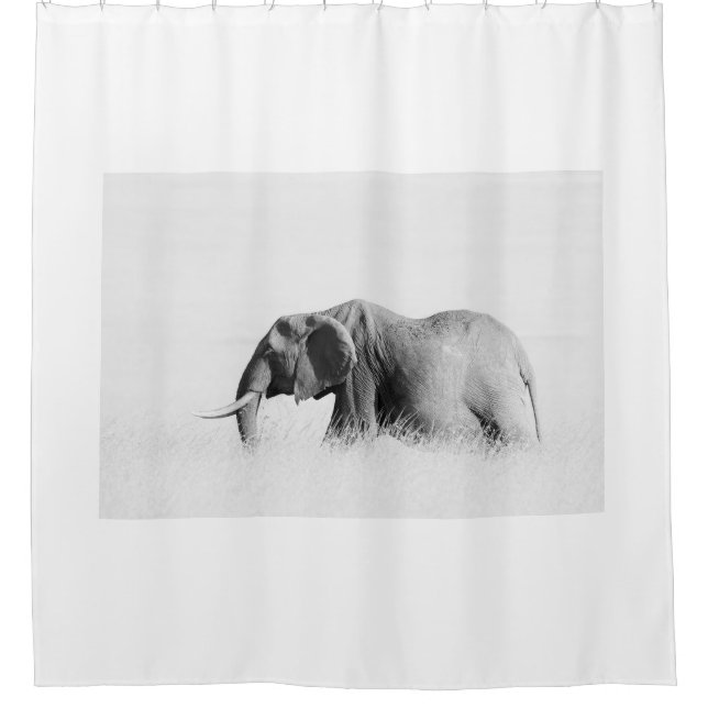 Lonely Elephant (High Key) Shower Curtain (Front)