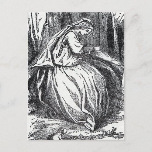 Lonely Forlorn Princess With Frog in Forest Postcard