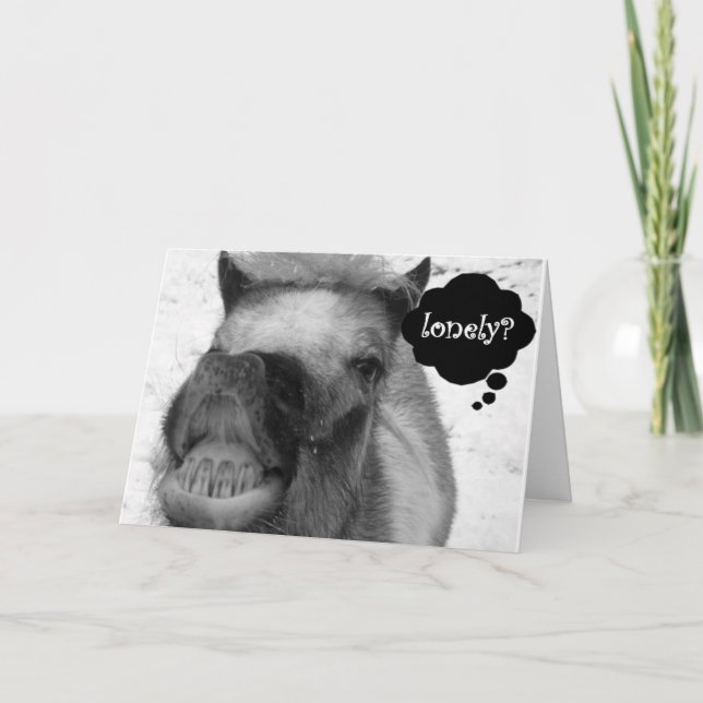"LONELY HOG" MAKES CHRISTMAS JOKE WITHOUT "YOU" HOLIDAY CARD (Front)
