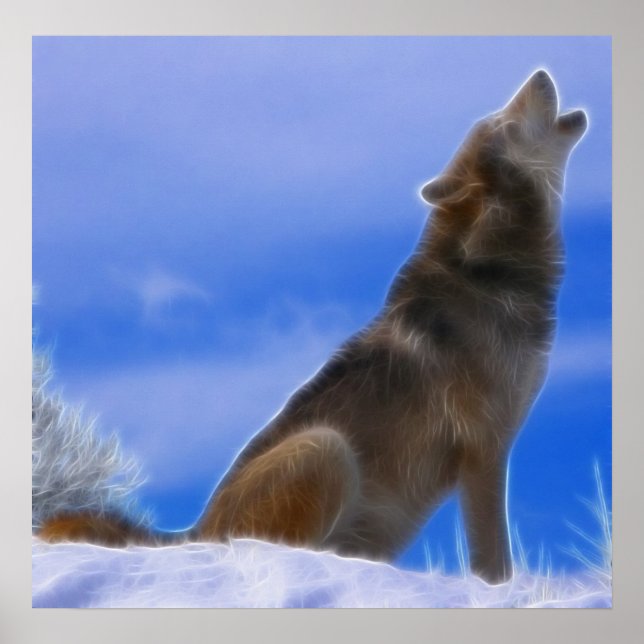 Lonely Howling Endangered Gray Wolf Poster (Front)