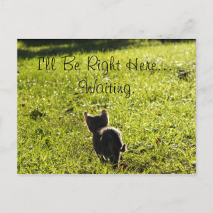 Lonely Kitten "Missing You" Postcard