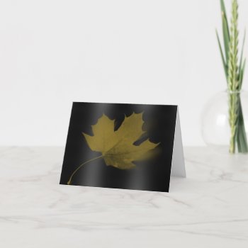Lonely Maple Leaf Note Card by naiza86 at Zazzle