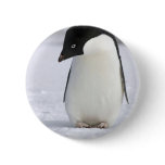 Lonely Penguin Pin