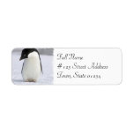 Lonely Penguin Return Address Mailing Label