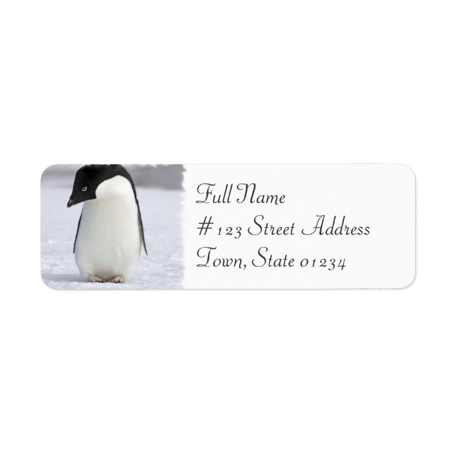 Lonely Penguin Return Address Mailing Label (Front)