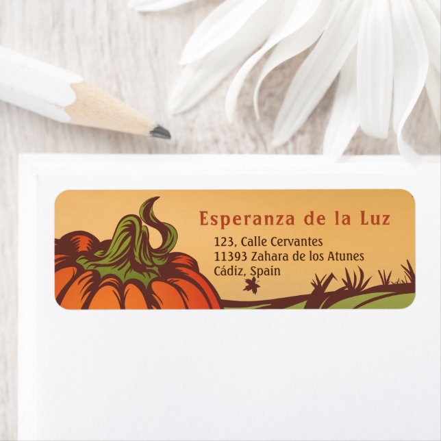 Lonely pumpkin one the field. Autumn leaves fall. Label (Insitu)