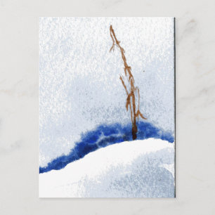 "Lonely Reed" Country Roads Postcard