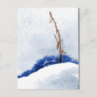 "Lonely Reed" Country Roads Postcard