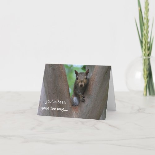 Lonely squirrel in tree I miss you Card